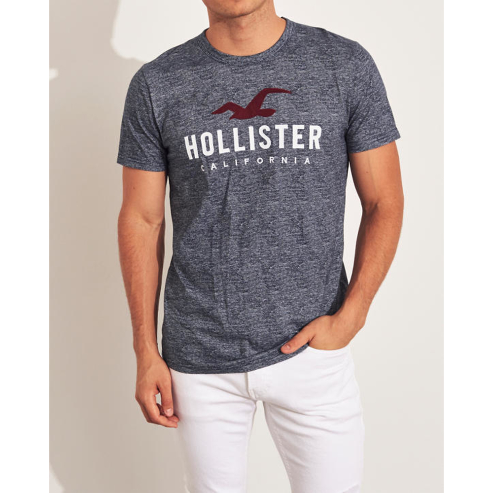 🔑Hollister Applique Logo Graphic Tee
